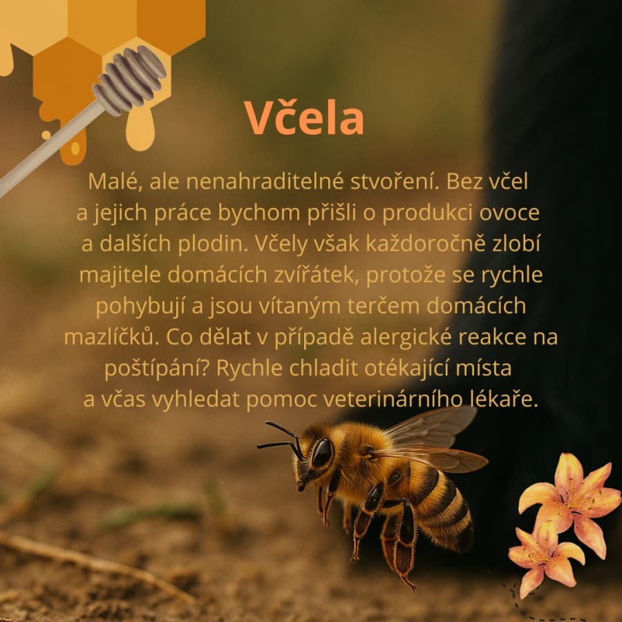 2025-05-20-vcely.jpg